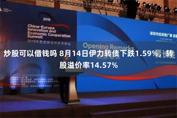 炒股可以借钱吗 8月14日伊力转债下跌1.59%，转股溢价率14.57%