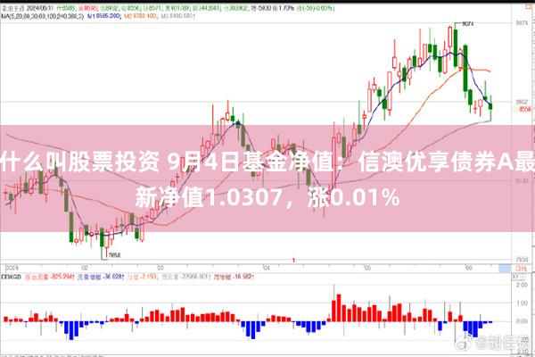 什么叫股票投资 9月4日基金净值：信澳优享债券A最新净值1.0307，涨0.01%