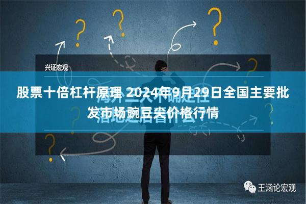 股票十倍杠杆原理 2024年9月29日全国主要批发市场豌豆尖价格行情