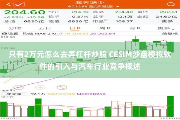 只有2万元怎么去弄杠杆炒股 CESIM沙盘模拟软件的引入与汽车行业竞争概述