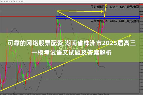 可靠的网络股票配资 湖南省株洲市2025届高三一模考试语文试题及答案解析